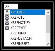Xr.JPG