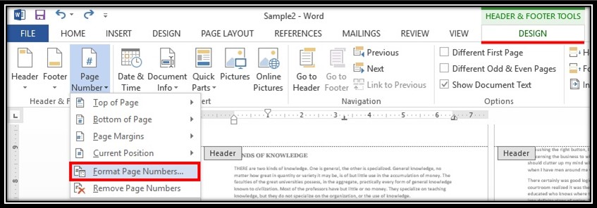 How to format page numbers in WORD